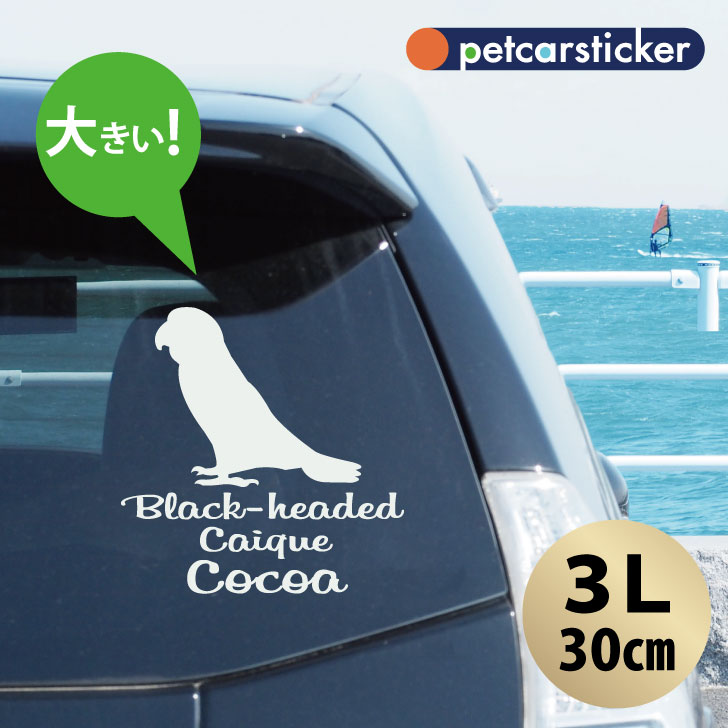 車 ステッカー 【 ズグロシロハラインコ 】【3Ｌ】 かわいい シンプル カーステッカー カッティングシート グッズ プレゼント おしゃれ オーダーメイド 名前
