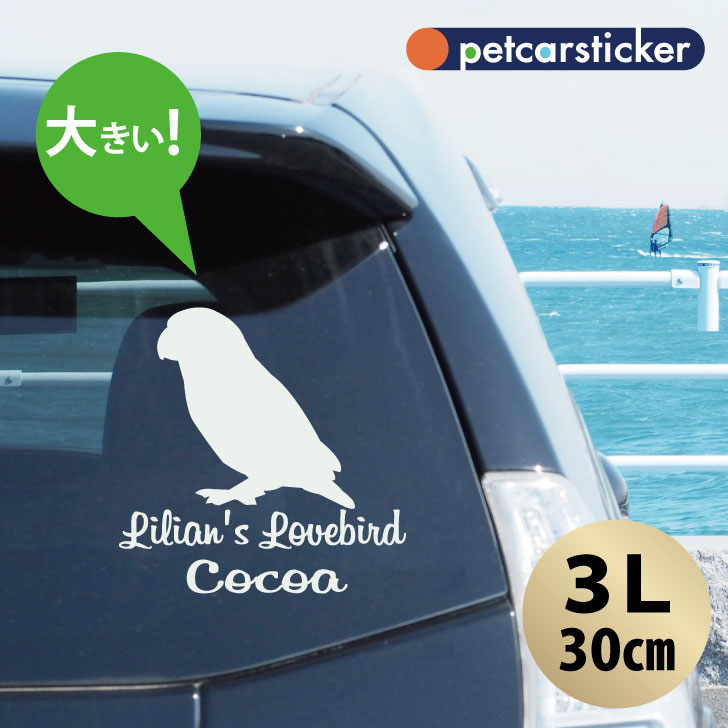 車 ステッカー 【 ボタンインコ 】【3Ｌ】 かわいい シンプル カーステッカー カッティングシート グッズ プレゼント おしゃれ オーダーメイド 名前 シール