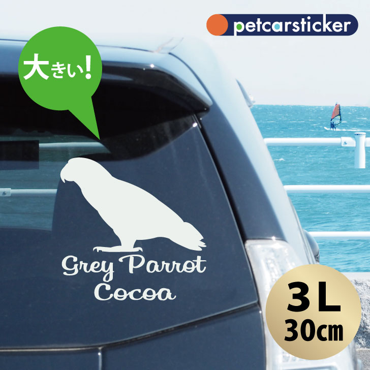 車 ステッカー 【 ヨウム 】【3Ｌ】 かわいい シンプル カーステッカー カッティングシート グッズ プレゼント おしゃれ オーダーメイド 名前 シール 可愛い