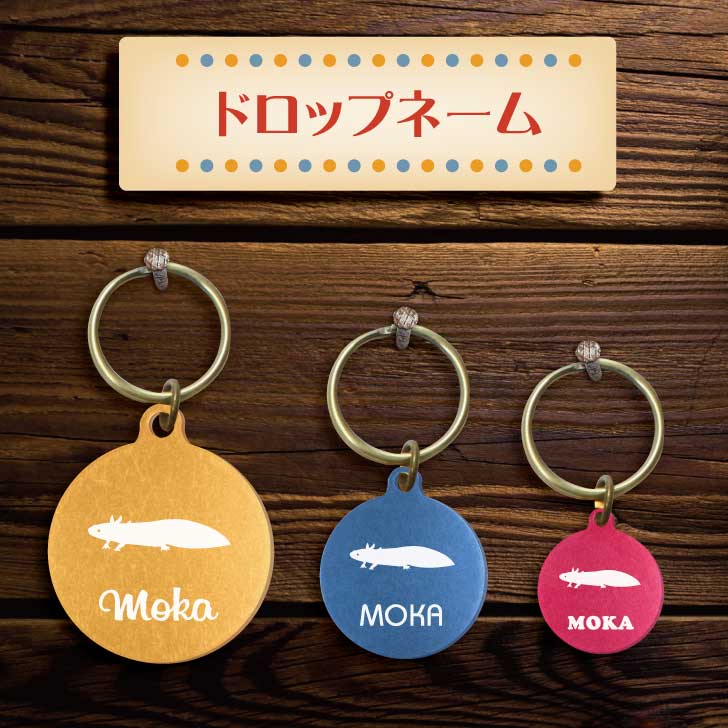 迷子札 【 ウーパールーパー 】 ドロップネーム 名入れ グッズ ペット 名札 軽量 極小 軽い ネームタグ かわいい おしゃれ 首輪 両生類