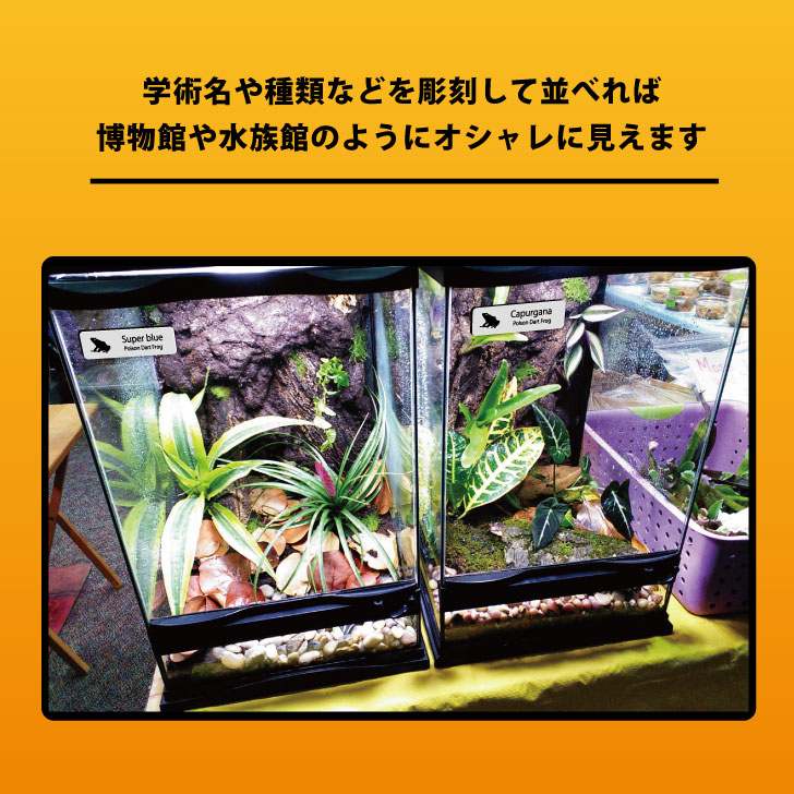 商品画像4