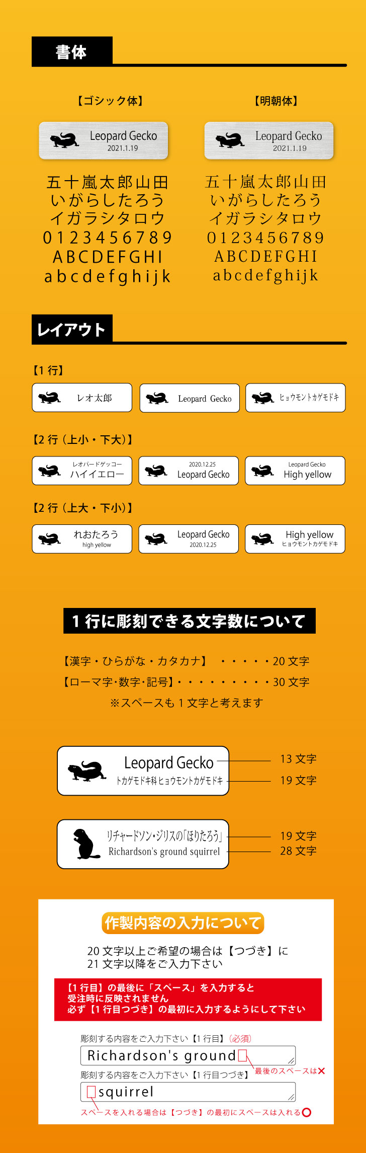 商品画像10