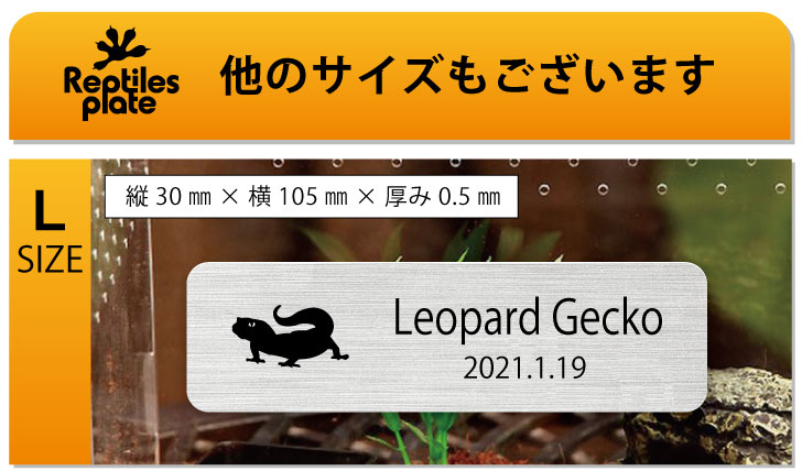 商品画像11