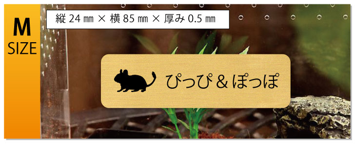 商品画像12
