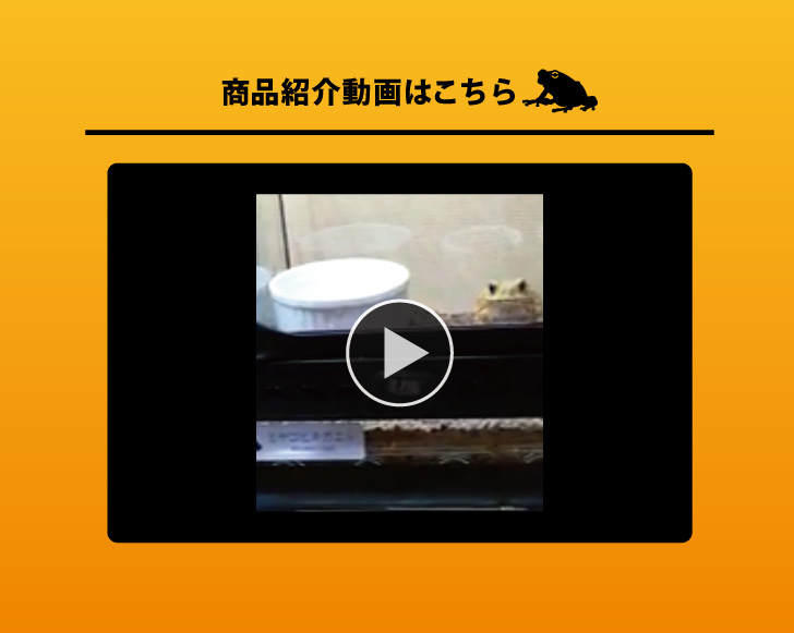 商品画像5