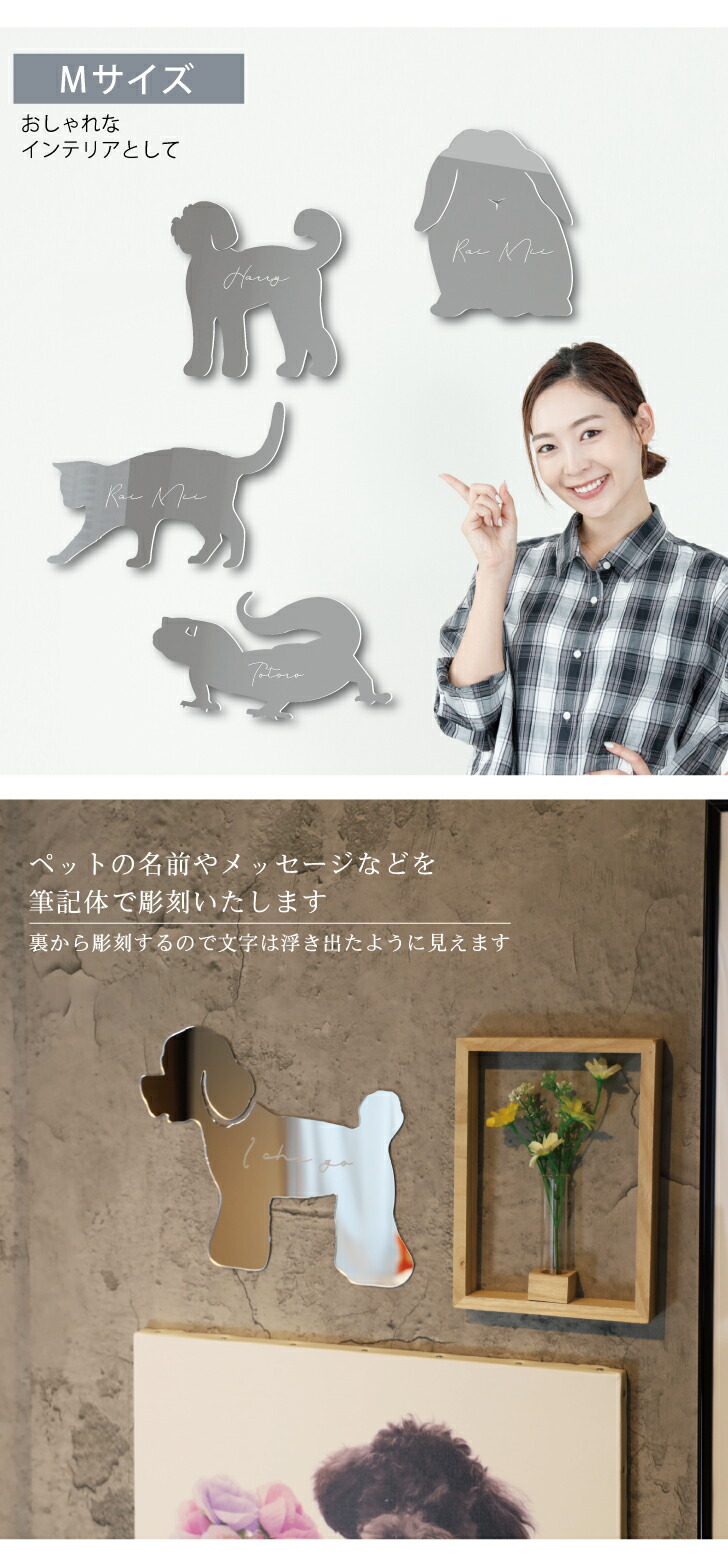 商品画像2