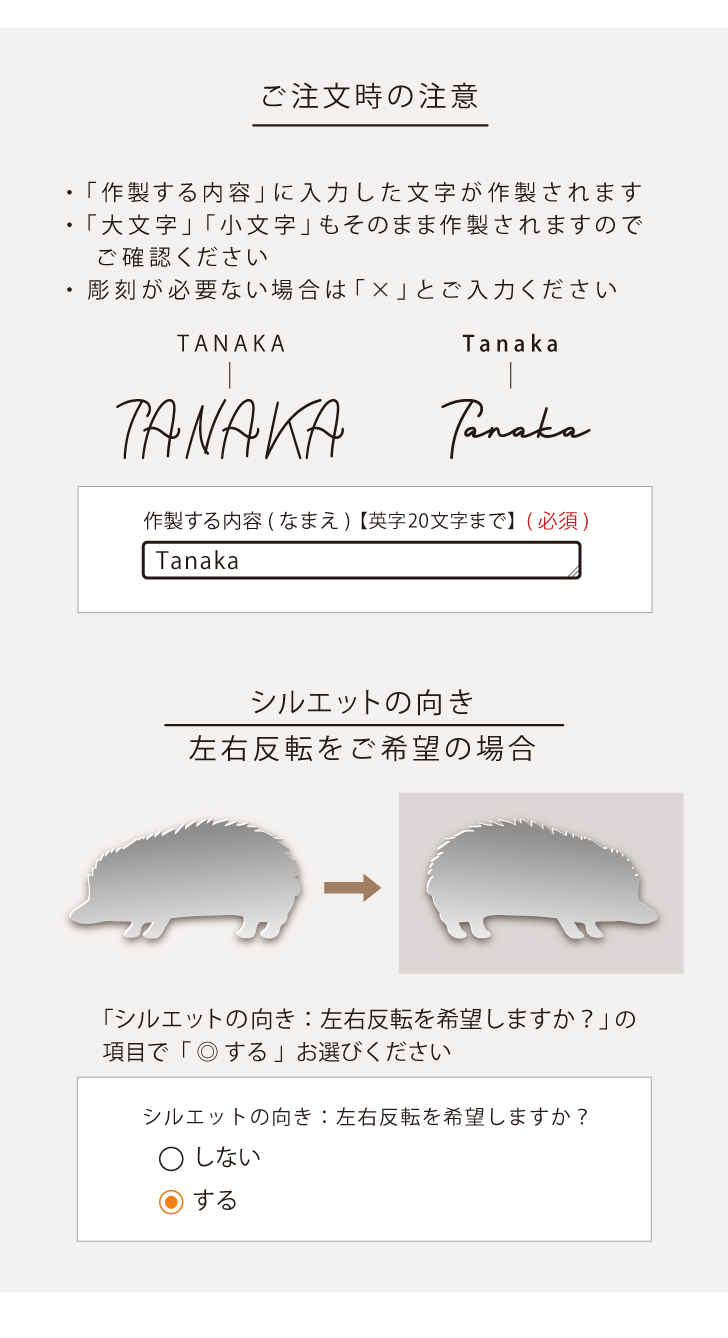 シルエットミラーM【 ウォータードラゴン 】 鏡 ミラー かわいい