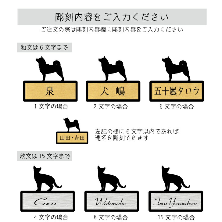 商品画像11
