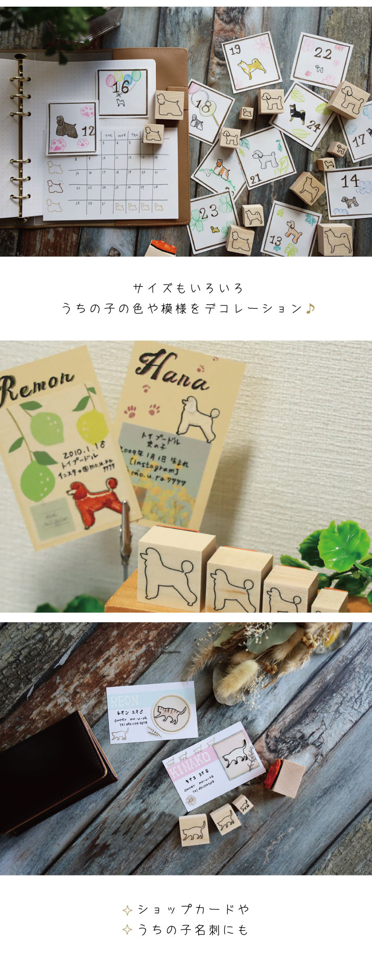 スタンプ 【 シュナプー 】 4個セット イラスト シルエット グッズ ペット バレットジャーナル かわいい シンプル 手紙 カード 名刺 塗り絵 犬 ワンコ ミックス |  | 02