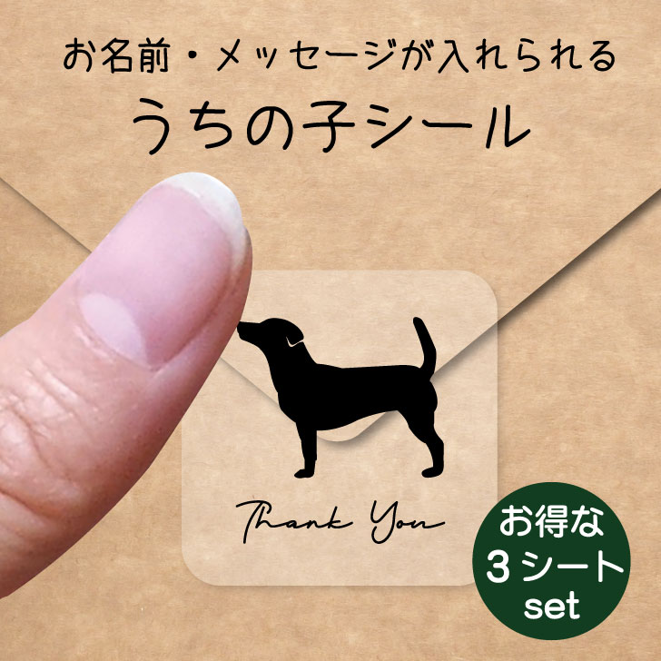 うちの子 シール お得な3シートセット【 ジャックラッセルテリア スムース 】 お名前シール 名前付け メッセージ ステッカー ペット グッズ 防水 透明 クリア