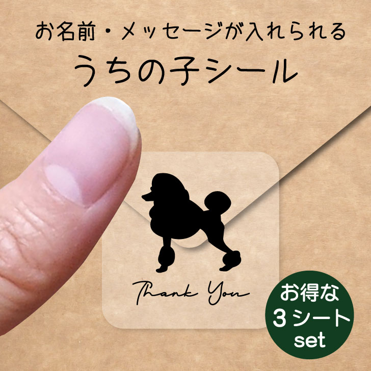 うちの子 シール お得な3シートセット【 スタンダードプードル コンチネンタルクリップ 】 お名前シール 名前付け ステッカー ペット グッズ 防水 透明