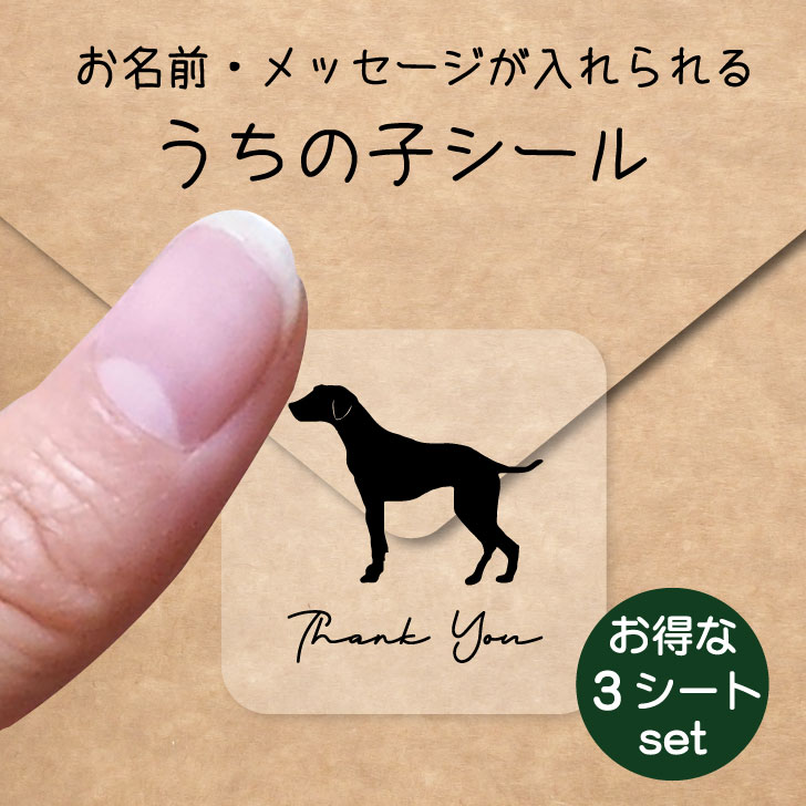 うちの子 シール お得な3シートセット【 ダルメシアン 】 お名前シール 名前付け メッセージ ステッカー ペット グッズ 防水 透明 クリア オーダーメイド minne