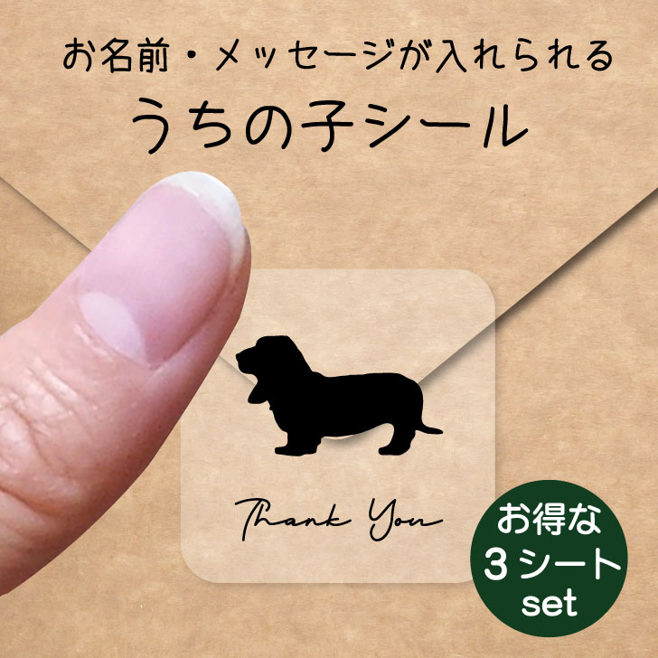 うちの子 シール お得な3シートセット【 バセットハウンド 】 お名前シール 名前付け メッセージ ステッカー ペット グッズ 防水 透明 クリア オーダーメイド
