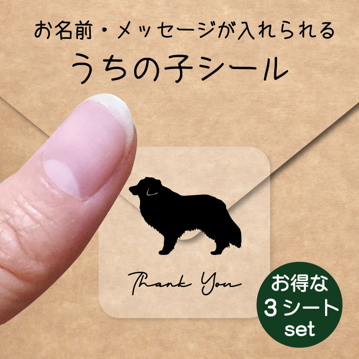 うちの子 シール お得な3シートセット【 ボーダーコリー 】 お名前シール 名前付け メッセージ ステッカー ペット グッズ 防水 透明 クリア オーダーメイド