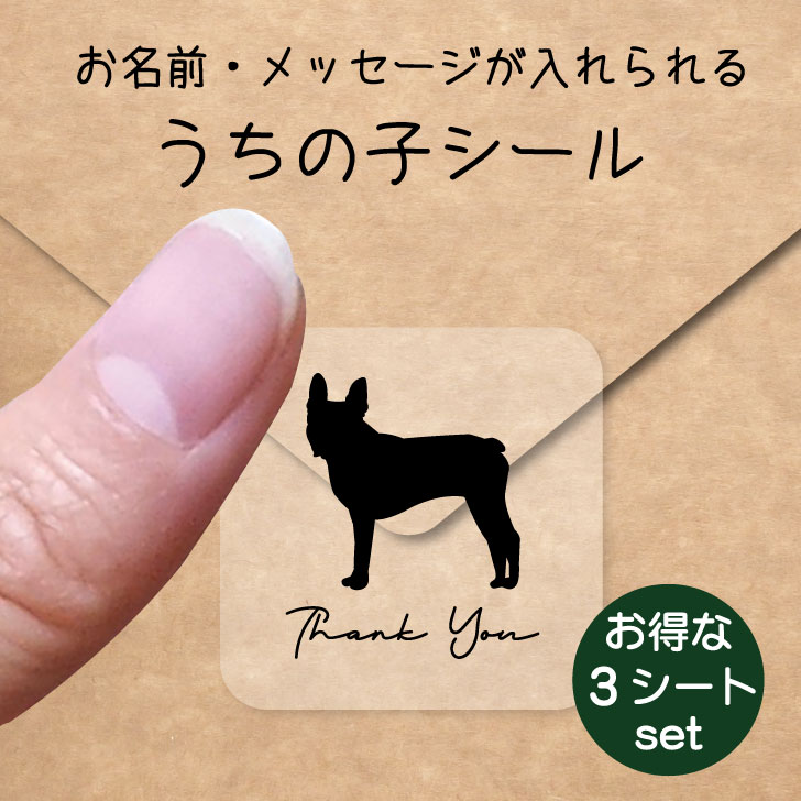 うちの子 シール お得な3シートセット【 ボストンテリア 】 お名前シール 名前付け メッセージ ステッカー ペット グッズ 防水 透明 クリア オーダーメイド