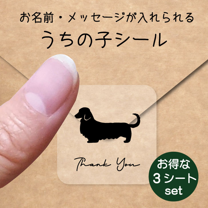 うちの子 シール お得な3シートセット【 ミニチュアダックスフンド ロングコート 】 お名前シール 名前付け メッセージ ステッカー ペット グッズ 防水 透明