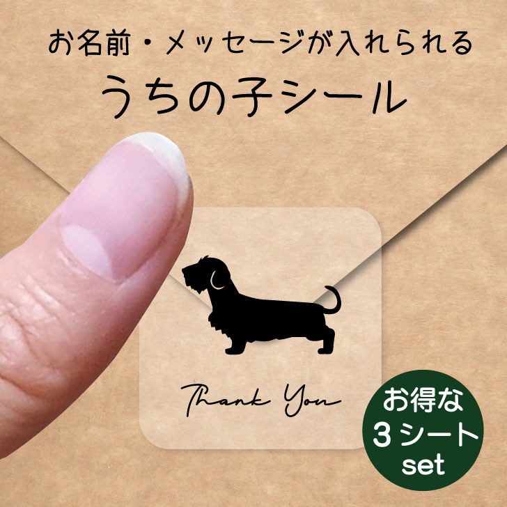 うちの子 シール お得な3シートセット【 ミニチュアダックスフンド ワイヤー 】 お名前シール 名前付け メッセージ ステッカー ペット グッズ 防水 透明 クリア