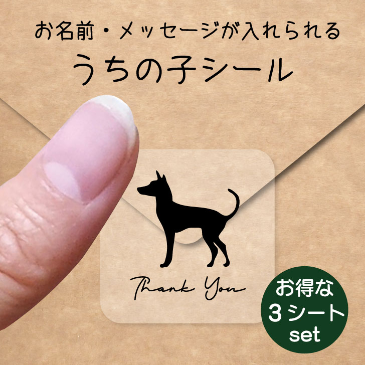 うちの子 シール お得な3シートセット【 ミニチュアピンシャー 】 お名前シール 名前付け メッセージ ステッカー ペット グッズ 防水 透明 クリア