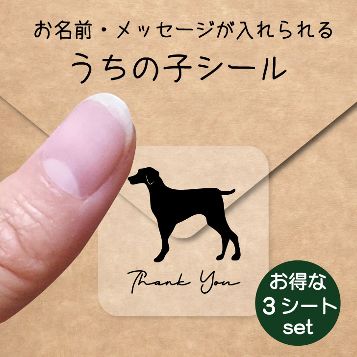 うちの子 シール お得な3シートセット【 ワイマラナー 】 お名前シール 名前付け メッセージ ステッカー ペット グッズ 防水 透明 クリア オーダーメイド minne