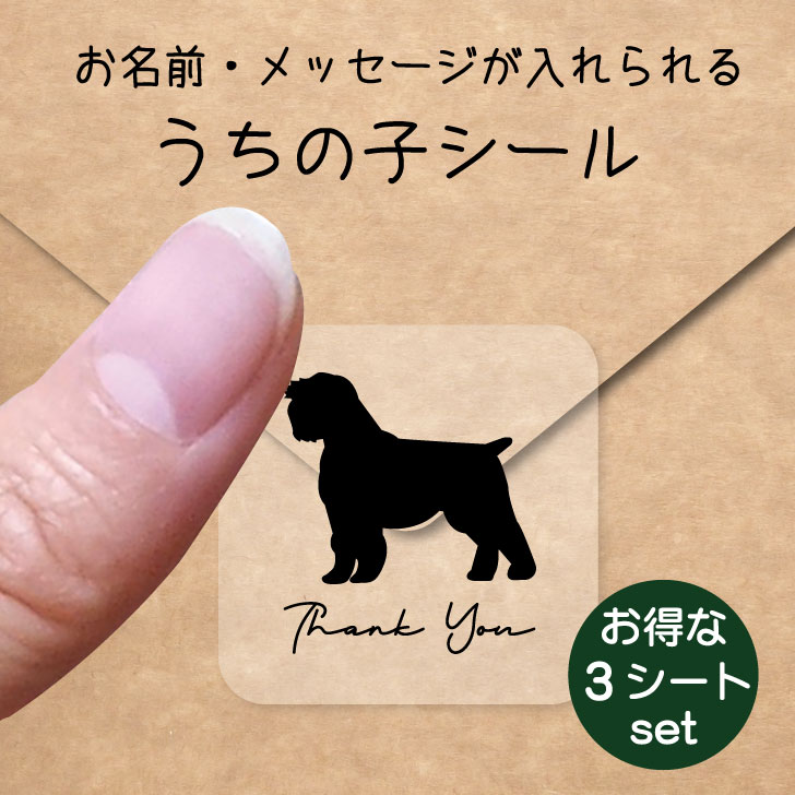 うちの子 シール お得な3シートセット【 アーフェンピンシャー 】 お名前シール 名前付け メッセージ ステッカー ペット グッズ 防水 透明 クリア