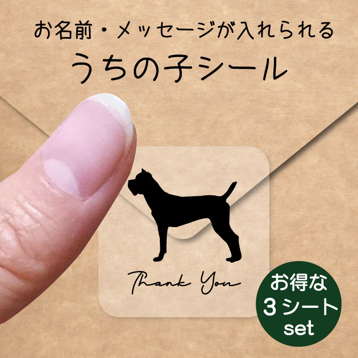うちの子 シール お得な3シートセット【 イタリアンコルソドッグ 】 お名前シール 名前付け メッセージ ステッカー ペット グッズ 防水 透明 クリア