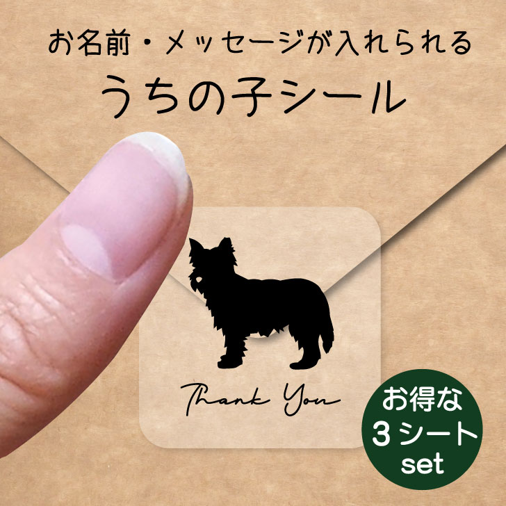 うちの子 シール お得な3シートセット【 ケアーンテリア 】 お名前シール 名前付け メッセージ ステッカー ペット グッズ 防水 透明 クリア オーダーメイド