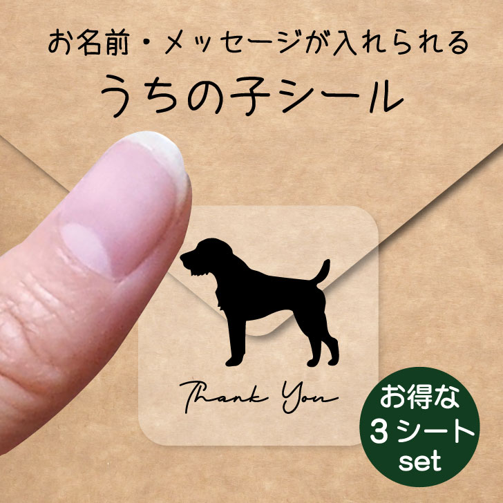 うちの子 シール お得な3シートセット【 ジャーマンハンティングテリア 】 お名前シール 名前付け メッセージ ステッカー ペット グッズ 防水 透明 クリア