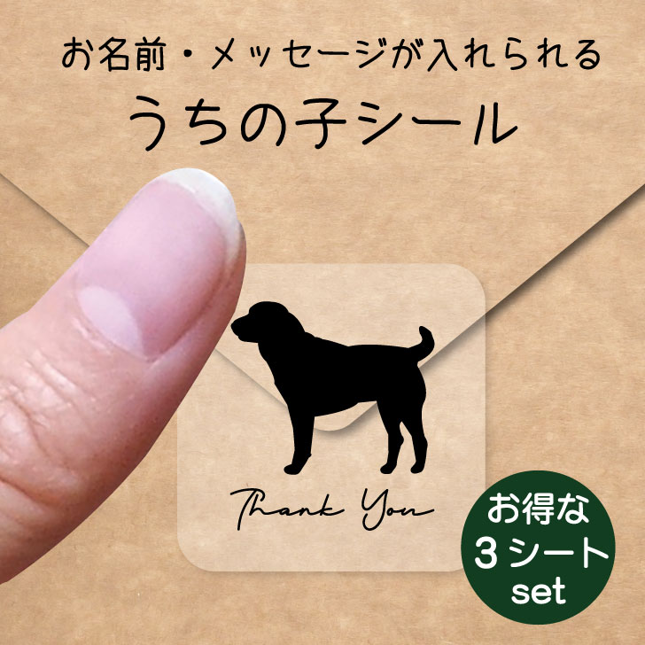 うちの子 シール お得な3シートセット【 セントラルアジアシェパードドッグ 】 お名前シール 名前付け メッセージ ステッカー ペット グッズ 防水 透明 クリア