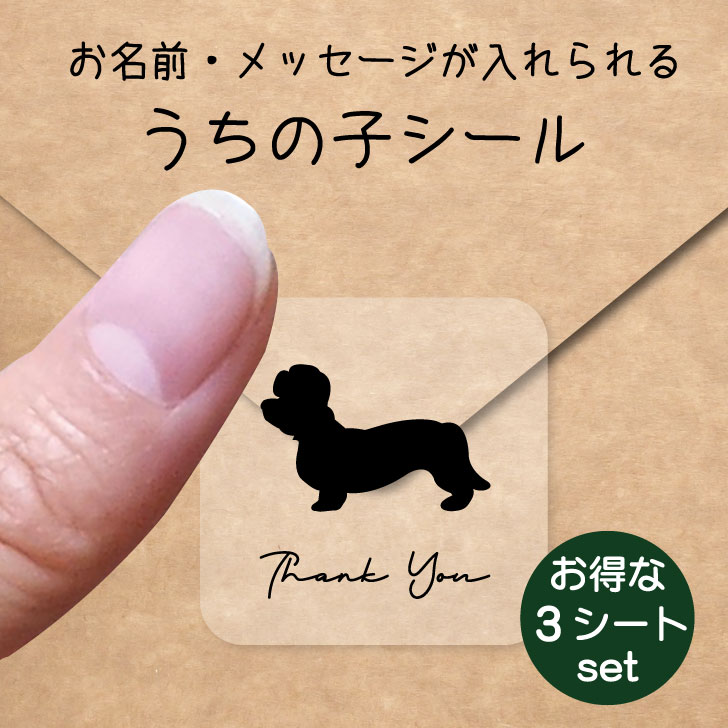 うちの子 シール お得な3シートセット【 ダンディディンモントテリア 】 お名前シール 名前付け メッセージ ステッカー ペット グッズ 防水 透明 クリア