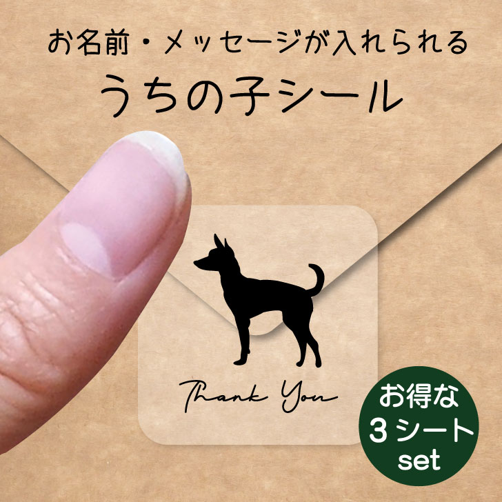 うちの子 シール お得な3シートセット【 トイマンチェスターテリア 】 お名前シール 名前付け メッセージ ステッカー ペット グッズ 防水 透明 クリア