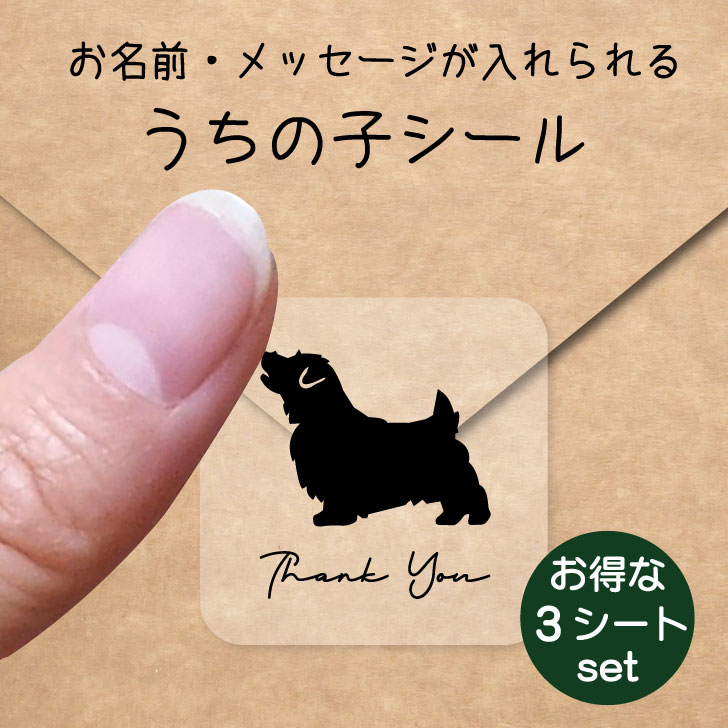 うちの子 シール お得な3シートセット【 ノーフォークテリア 】 お名前シール 名前付け メッセージ ステッカー ペット グッズ 防水 透明 クリア オーダーメイド