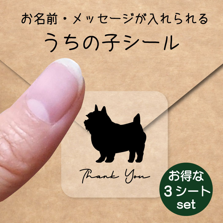 うちの子 シール お得な3シートセット【 ノーリッチテリア 】 お名前シール 名前付け メッセージ ステッカー ペット グッズ 防水 透明 クリア オーダーメイド