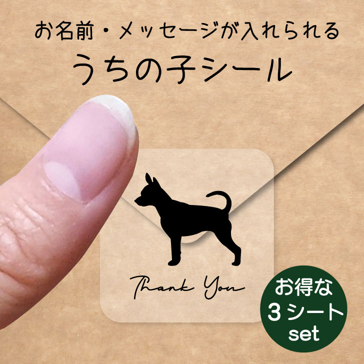 うちの子 シール お得な3シートセット【 プラシュスキークリサジーク 】 お名前シール 名前付け メッセージ ステッカー ペット グッズ 防水 透明 クリア