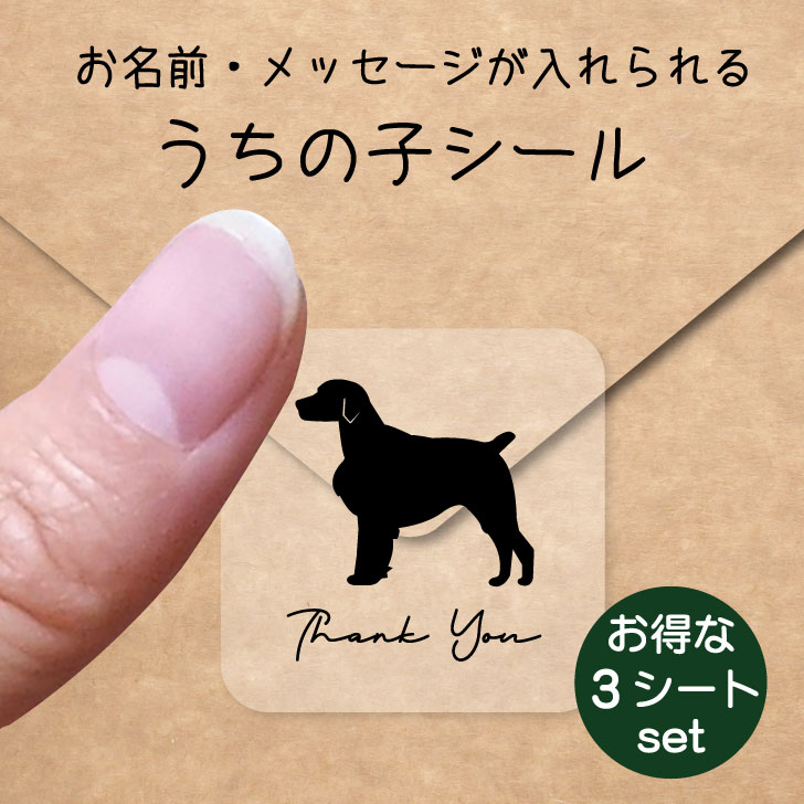 うちの子 シール お得な3シートセット【 ブリタニースパニエル 】 お名前シール 名前付け メッセージ ステッカー ペット グッズ 防水 透明 クリア