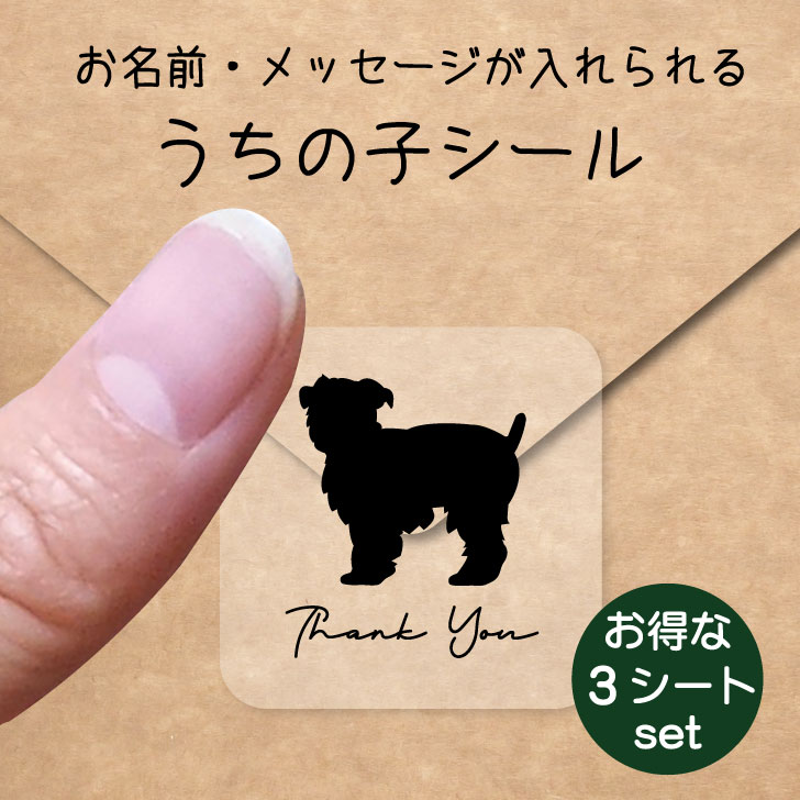 うちの子 シール お得な3シートセット【 ベルジアングリフォン 】 お名前シール 名前付け メッセージ ステッカー ペット グッズ 防水 透明 クリア
