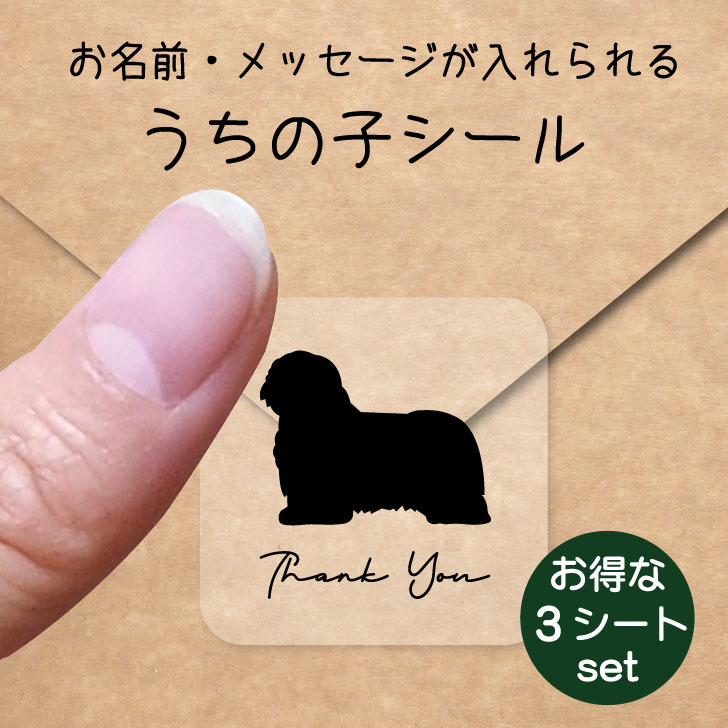 うちの子 シール お得な3シートセット【 ポリッシュローランドシープドッグ 】 お名前シール 名前付け メッセージ ステッカー ペット グッズ 防水 透明 クリア