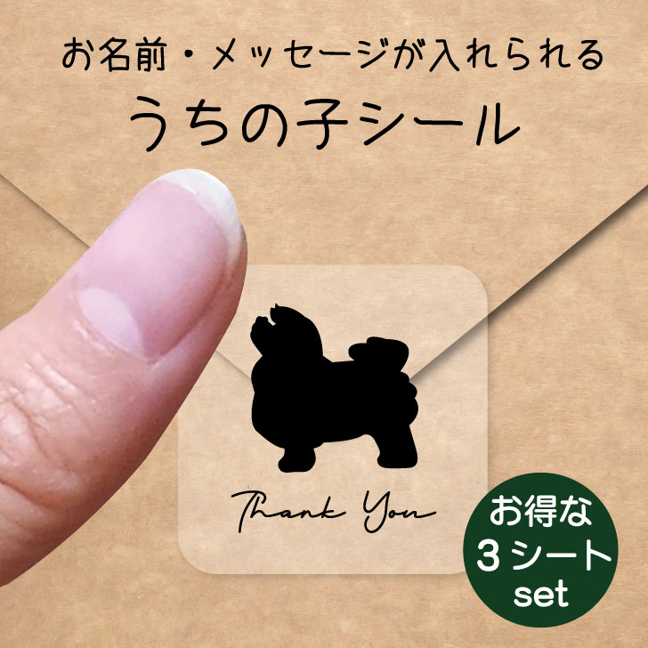 うちの子 シール お得な3シートセット【 ボロニーズ 】 お名前シール 名前付け メッセージ ステッカー ペット グッズ 防水 透明 クリア オーダーメイド minne