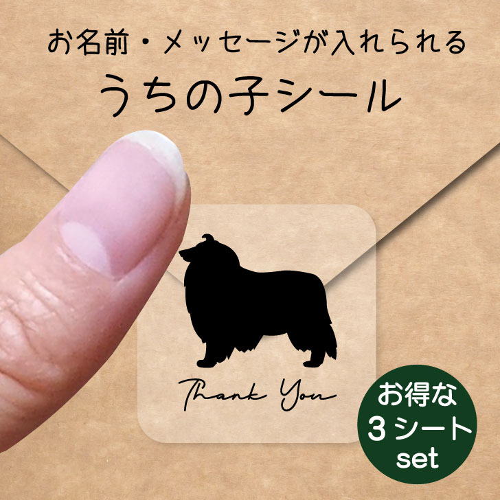 うちの子 シール お得な3シートセット【 ラフコリー 】 お名前シール 名前付け メッセージ ステッカー ペット グッズ 防水 透明 クリア オーダーメイド minne