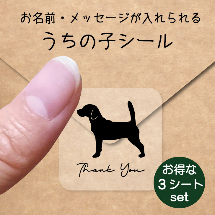 うちの子 シール お得な3シートセット【 ビーグル 2 】 お名前シール 名前付け メッセージ ステッカー ペット グッズ 防水 透明 クリア オーダーメイド minne