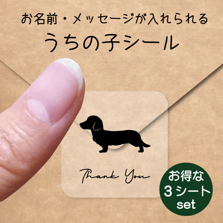 うちの子 シール お得な3シートセット【 カニンヘンダックスフンド 】 お名前シール 名前付け メッセージ ステッカー ペット グッズ 防水 透明 クリア
