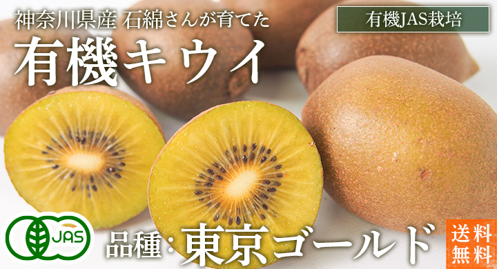 神奈川県キウイ（品種：東京ゴールド）