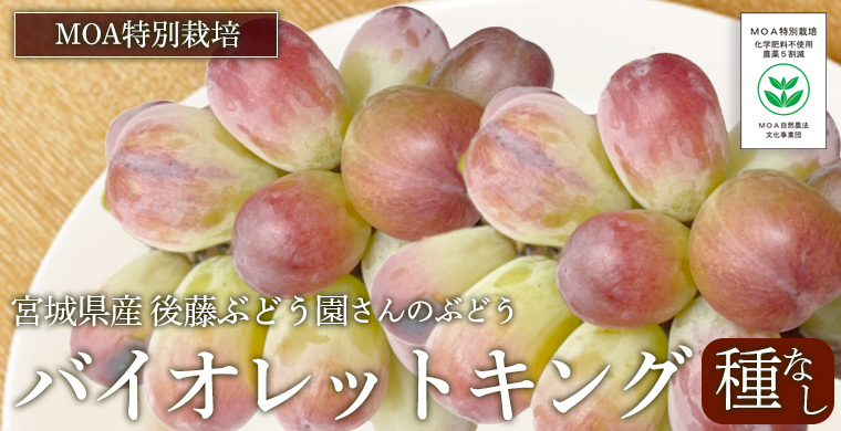 バイオレットキング