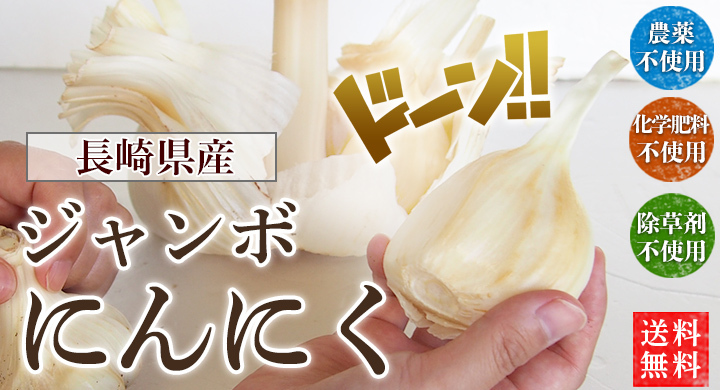 ジャンボにんにく１ｋｇ農薬・化学肥料不使用【長崎県産 ・送料無料・数量限定品】生ニンニク エレファントガーリック 自然農法 : 519669 :  健康ご予約 - 通販 - Yahoo!ショッピング