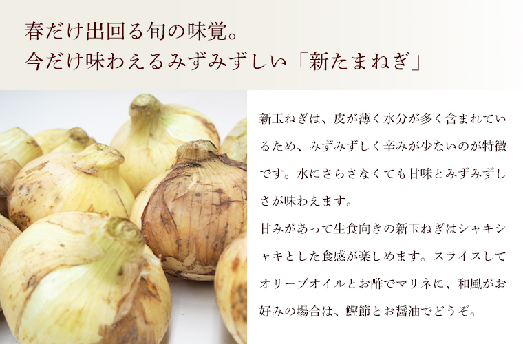春だけ出回る新玉ねぎ