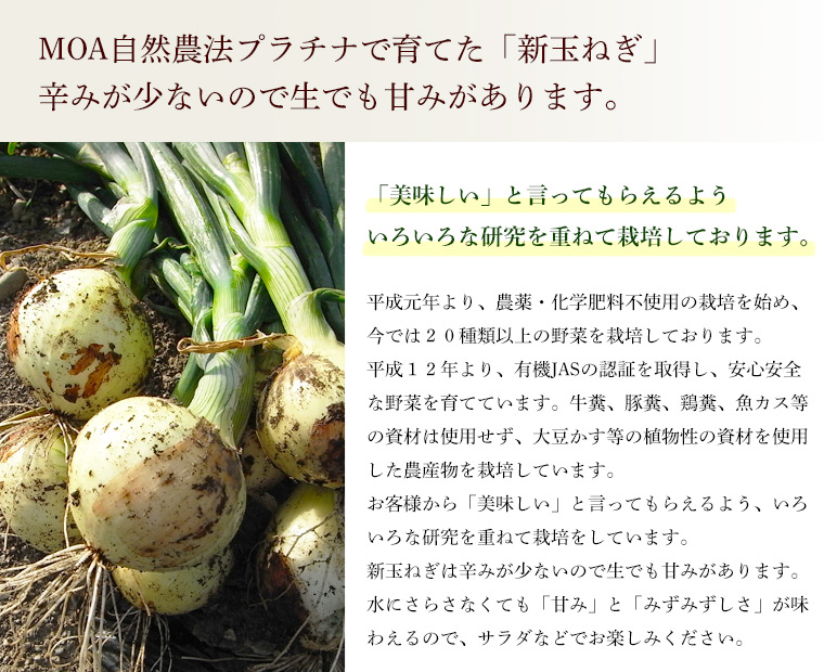 MOA自然農法プラチナで育てた新玉ねぎ