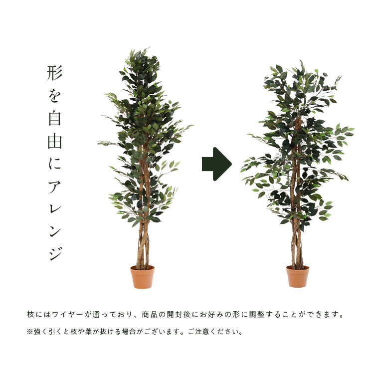 人工観葉植物 フェイクグリーン Ficuse(フィカス) 690 H150cm・H160cm