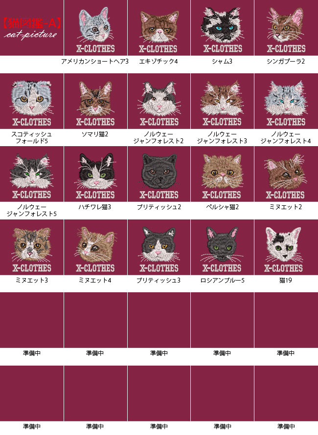 ビションフリーゼ グッズ 雑貨（サイズ（S/M/L）：LL（XL））の