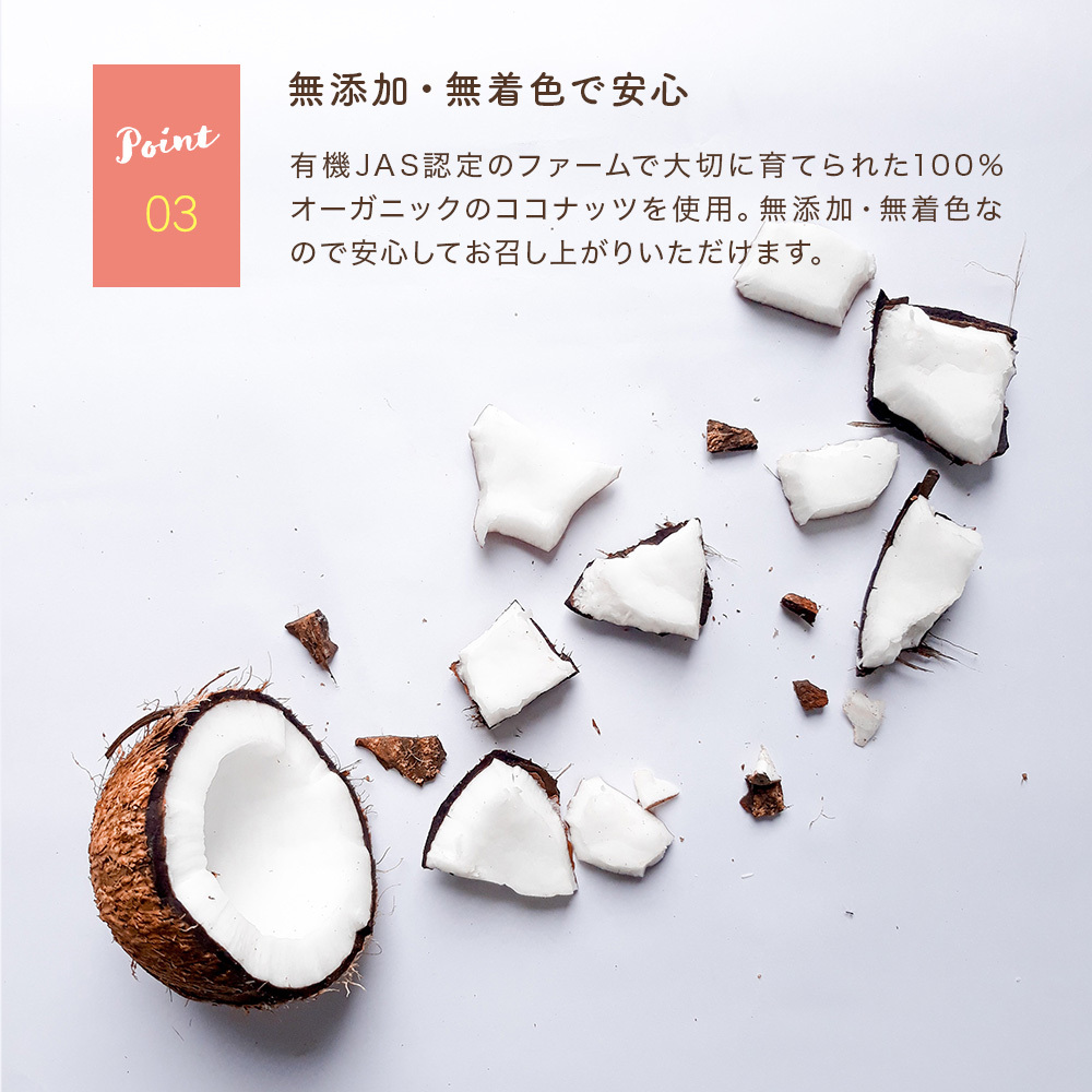 18％OFF】 coconut様専用 - エレキギター - www.haactogo.tg