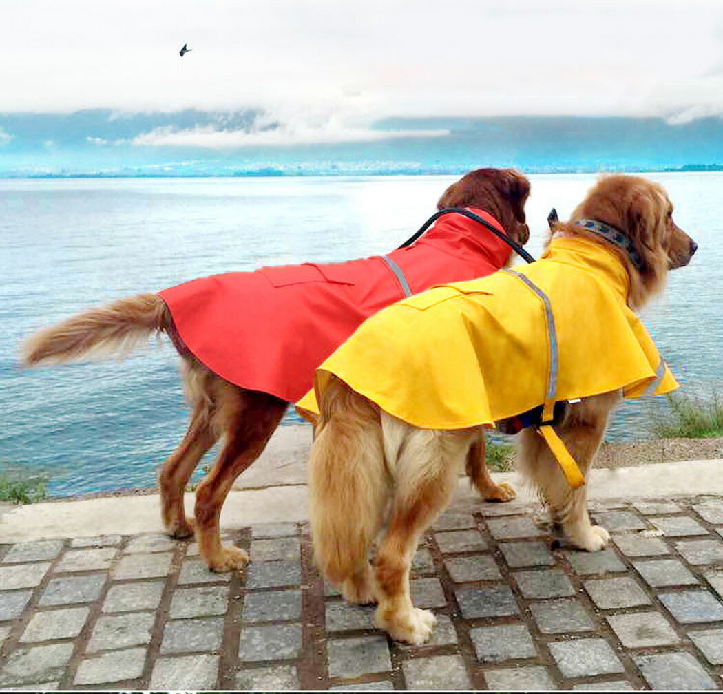犬用 レインコート 着せやすい ポンチョ 小型犬 中型犬 大型犬 フード
