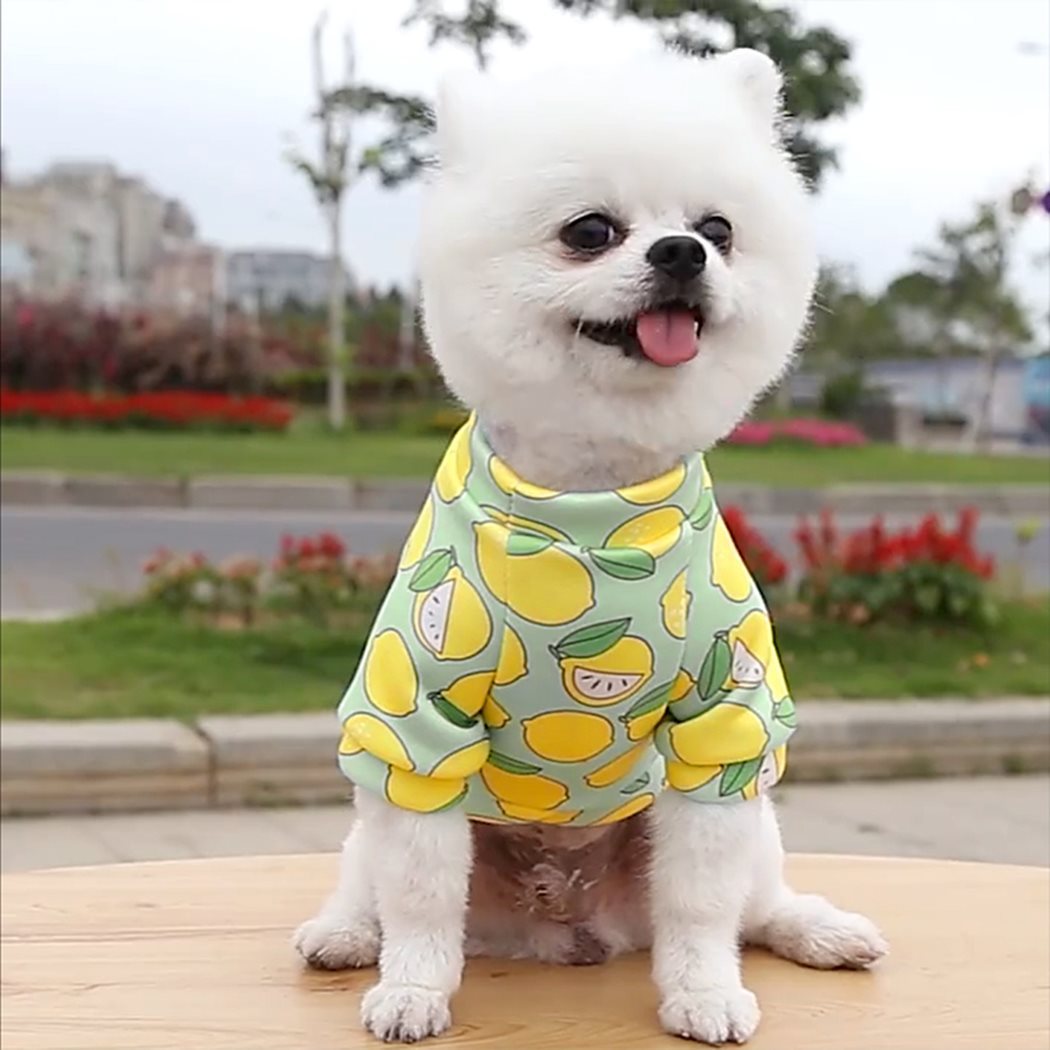 市場 犬 犬の服 毛足 短い お洒落 プルオーバー 超小型犬 半袖 小型犬 起毛 着せやすい 秋冬 暖かい 服 カットソー 裏起毛 大きいサイズ ドッグウェア